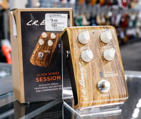 L.R Baggs - Align Series Session Pedal